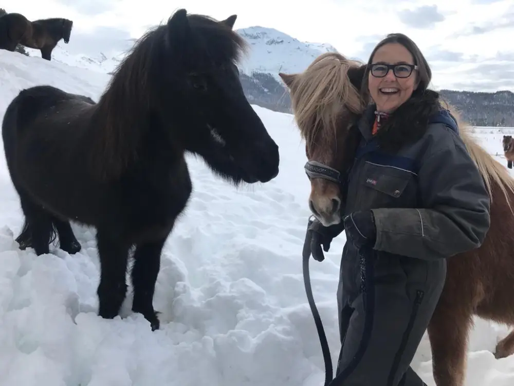 Claudia holt ihre Pferde von der Weide im Winter im Engadin