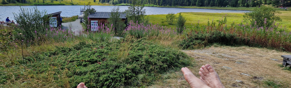 Jahreskreis Engadin: August-Raum